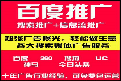某企业SEM广告投放的ROI提升策略及效果展示